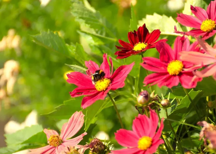 Lizz Hotel Monaco di Baviera