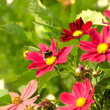 Lizz ホテル ミュンヘン